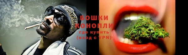 гидропоника Белоозёрский