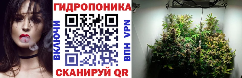 Каннабис конопля  Новая Усмань 